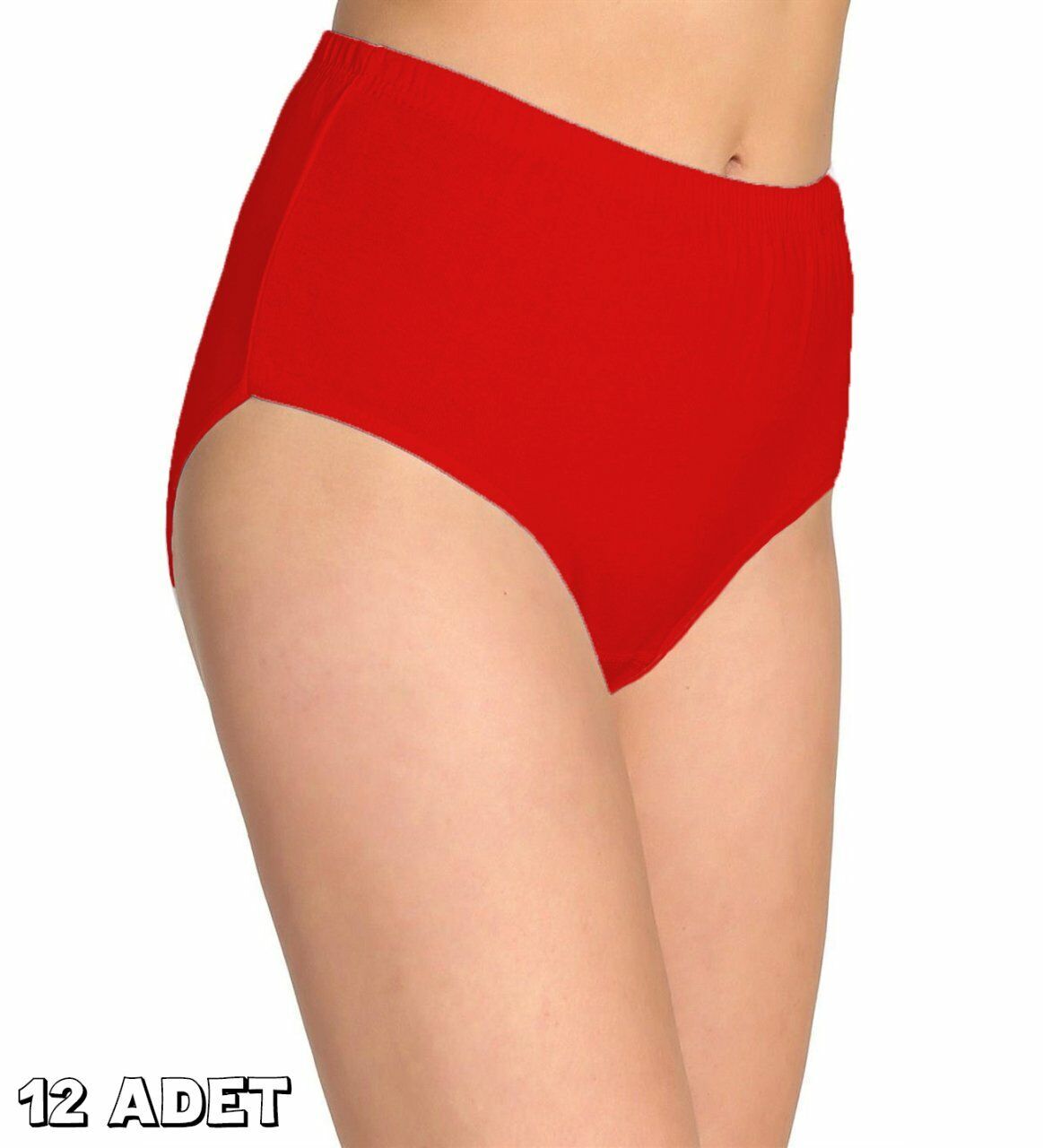 Tutku 0923 Renkli Bayan Ribana Bato Külot 12'li