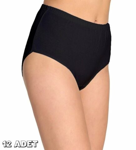 Tutku 0923 Renkli Bayan Ribana Bato Külot 12'li