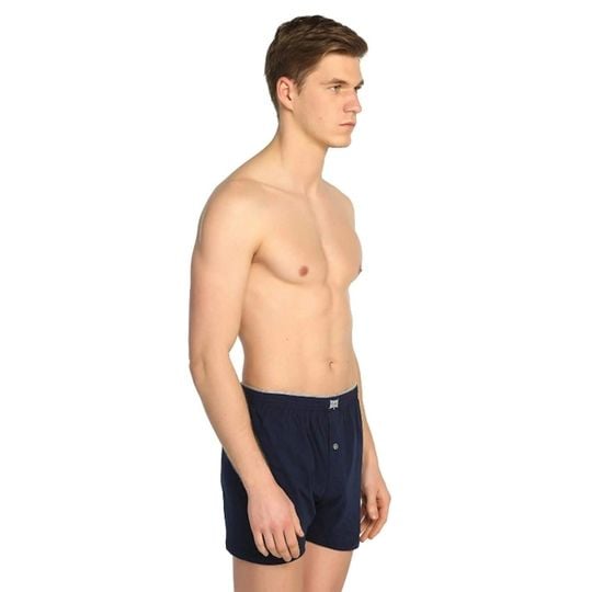 Boxer Özellikleri