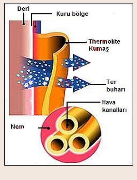 Termal İçlik