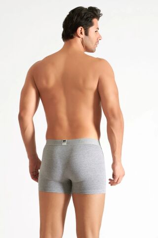 Tutku Erkek Likralı Boxer GRİ - XL