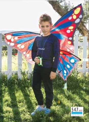 Elsima 547 Erkek Çocuk Pijama Takımı