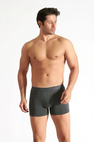 Tutku Erkek Likralı Boxer FÜME - M