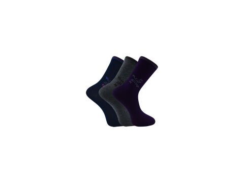Şirin 4150-102 (36-40) Dikişsiz Bayan Penye Çorap 12'li