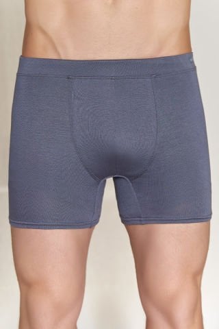 Berrak 4434 Erkek Micro Modal Boxer GRİ - L