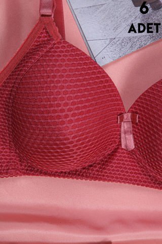 Aysemin 5190 C Cup (85-90-95-100-105) Balensiz Desteksiz Bayan Sütyen 6'lı GÜL KURUSU - SERİLİ