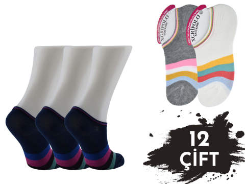 XGRİ POLO 3'lü Bayan Penye Sneakers 12'li