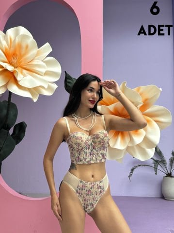Cansoy 682 Ekru Simli Balenli Destekli Bustiyer Sütyen Takım 6'lı