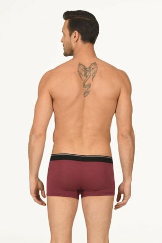 Nbb 735 Erkek Modal Boxer