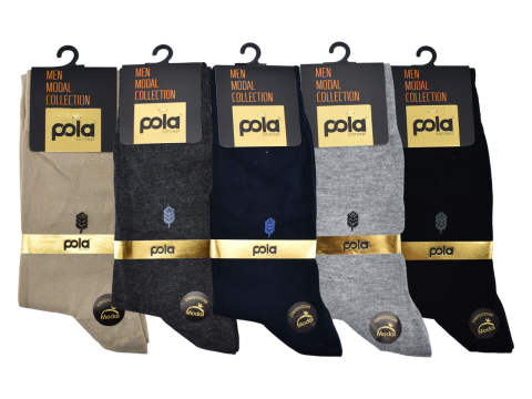 Pola 1623 Parfümlü Yazlık Dikişsiz Modal Erkek Çorap 12'li