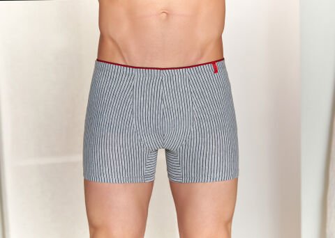 Berrak 4433 Erkek Boxer